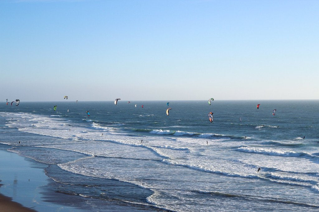 dozens of kite boarders on the shoreline in the ocean